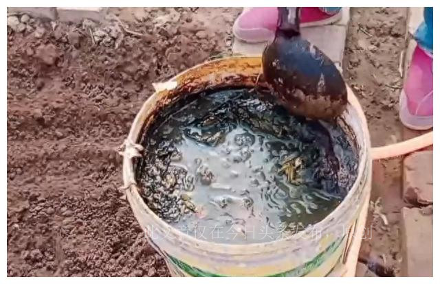 自己堆的肥料长虫长蛆怎么处理,施水肥后多虫子的原因