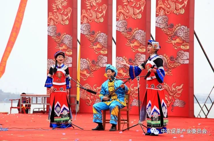 湖北省五峰毛尖绿茶,湖北五峰毛尖绿茶