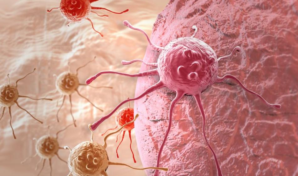 绝经几十年突然来月经什么情况,女性绝经后要小心3种情况找上门