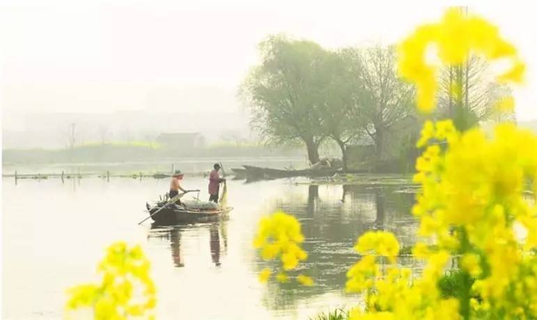 泰州兴化风景,泰州兴化名胜古迹