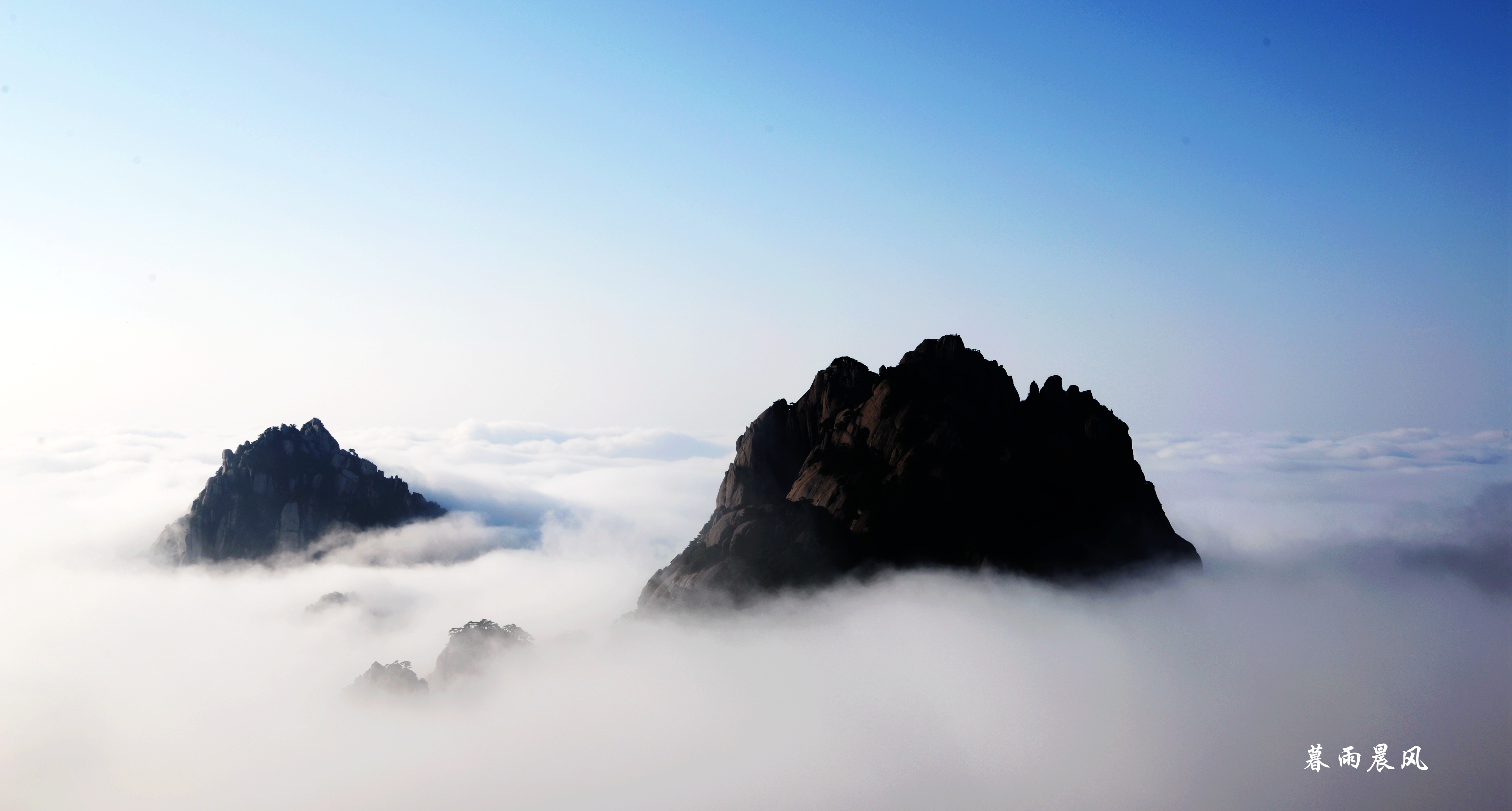 2014年黄山游,2014黄山银毫