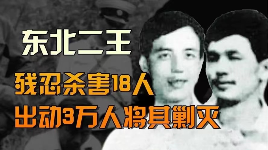 全国十大经典刑事案件,中国十大刑事真实案件排名