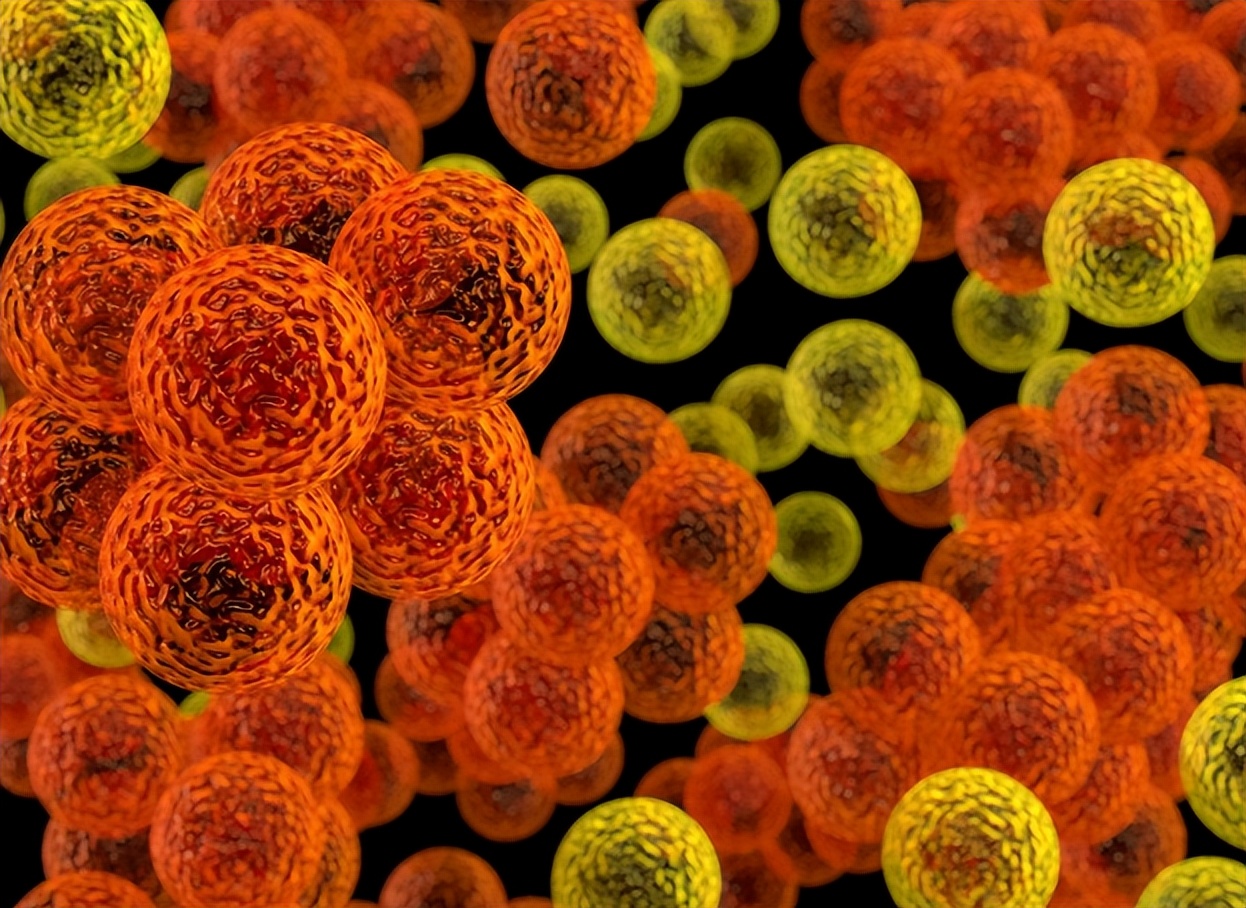 人体卫士和细菌大作战,人体卫士与细菌病毒大作战完整版