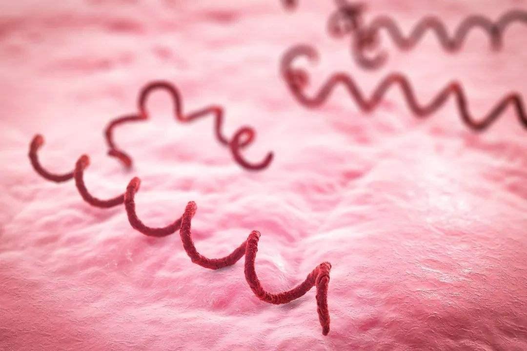 五种性传播的病,能通过性传播的疾病有哪些
