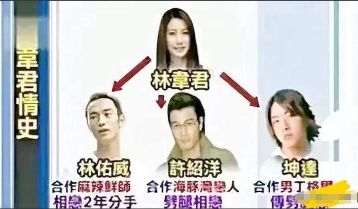 海后林韦君14段恋爱史,薰衣草海后林韦君