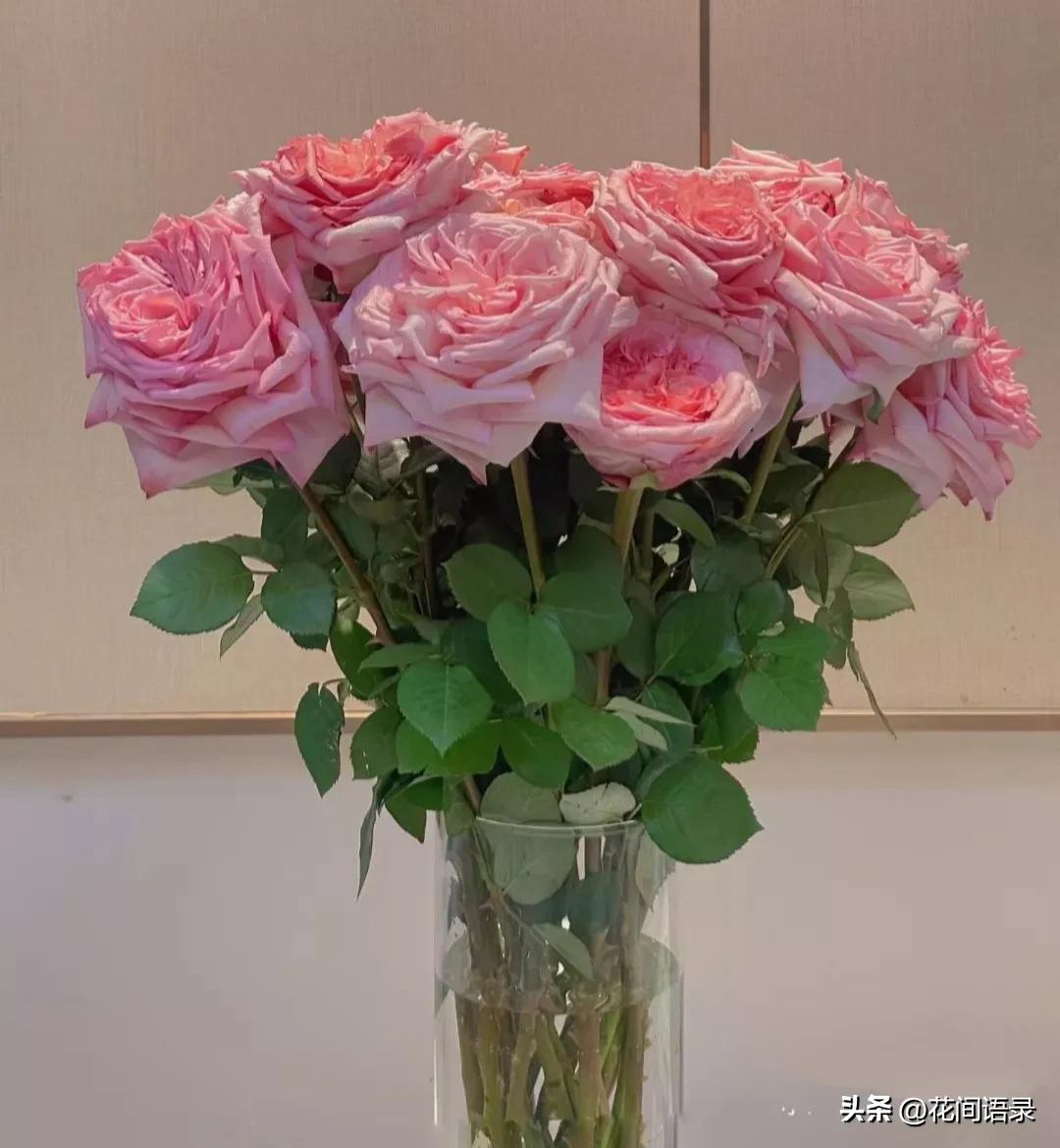 刘亦菲抱的鲜花是什么花呀,刘亦菲抱鲜花的照片为啥那么火