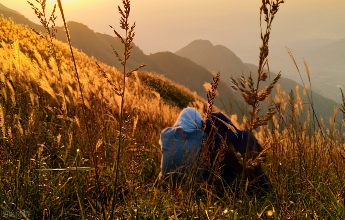 昨晚我又梦见你,今夜我又梦见你了