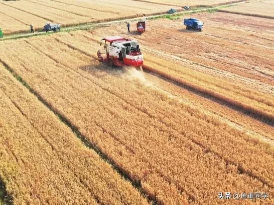 农历十一月初九的说法,十一月初九是什么日子