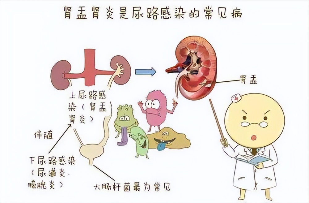 尿频是什么症状,尿太多太频但量正常是什么原因