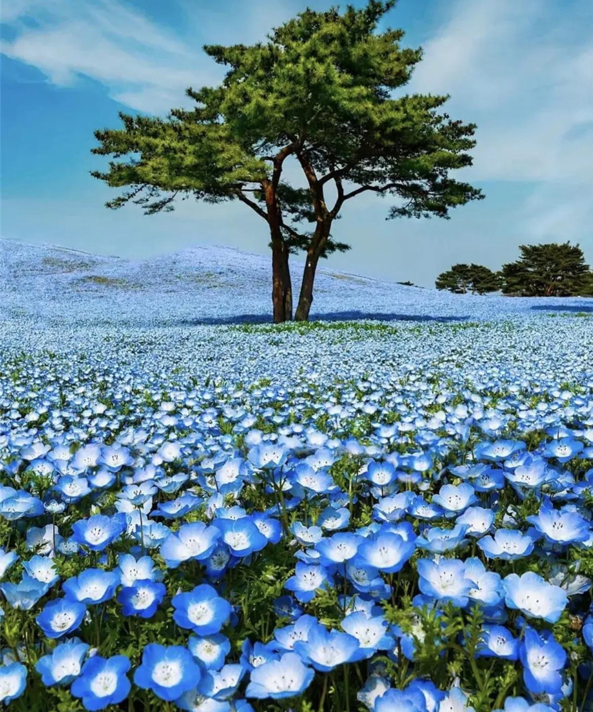 热搜上穿性感旗袍卖“*霸波**奶茶”的女老板，暴露出当下网红的病态