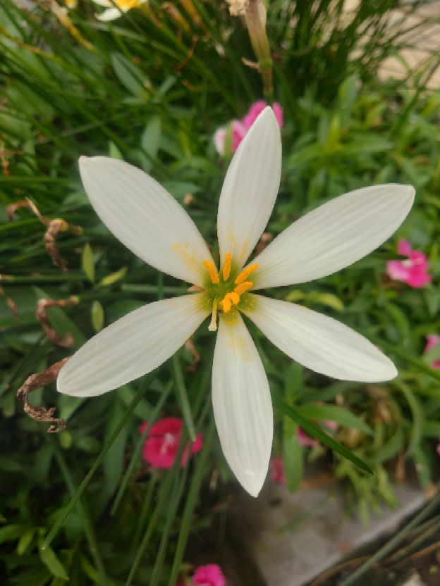 关于灾难夺走生命的感悟,经过意外灾难后的感言