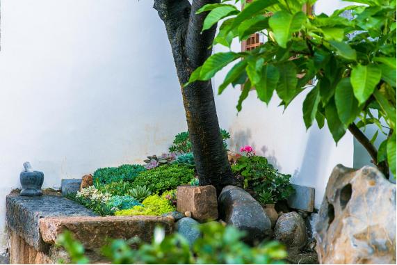 感受静谧与休闲,感受阳光享受生活