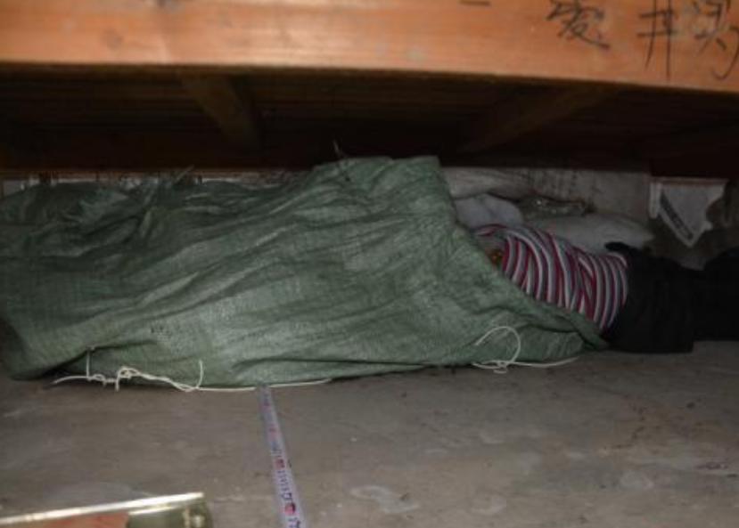 13年租户外出,让合租的小伙把空调开17度,小伙半夜摸到一只冰手