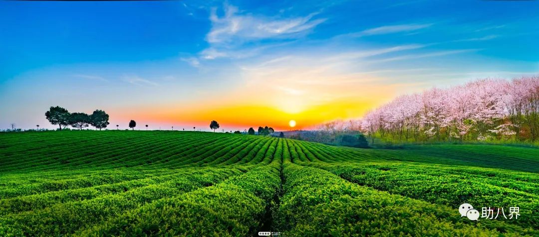 西双版纳的地标,西双版纳6国地标打卡