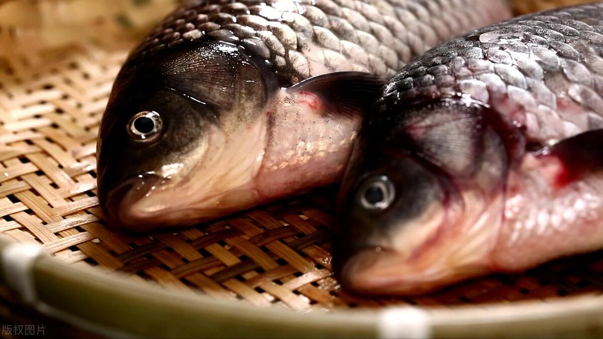 纯母乳坐月子能吃什么汤,月子里不喂母乳可以喝什么汤