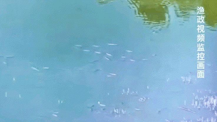 一半喜一半忧,一半喜一半忧粤语