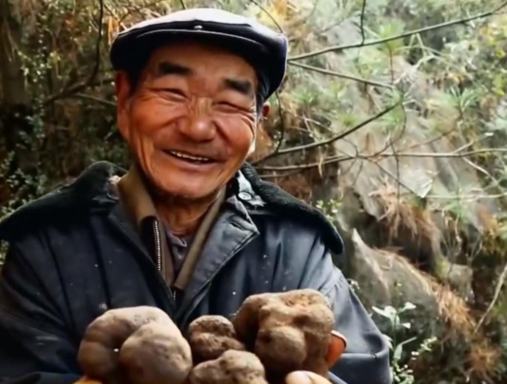云南教师考察时发现商机，大山里挖“土疙瘩”，一公斤能卖5000元