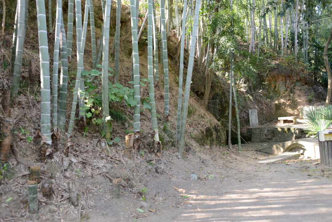 觅苏记,觅苏记宜兴海棠