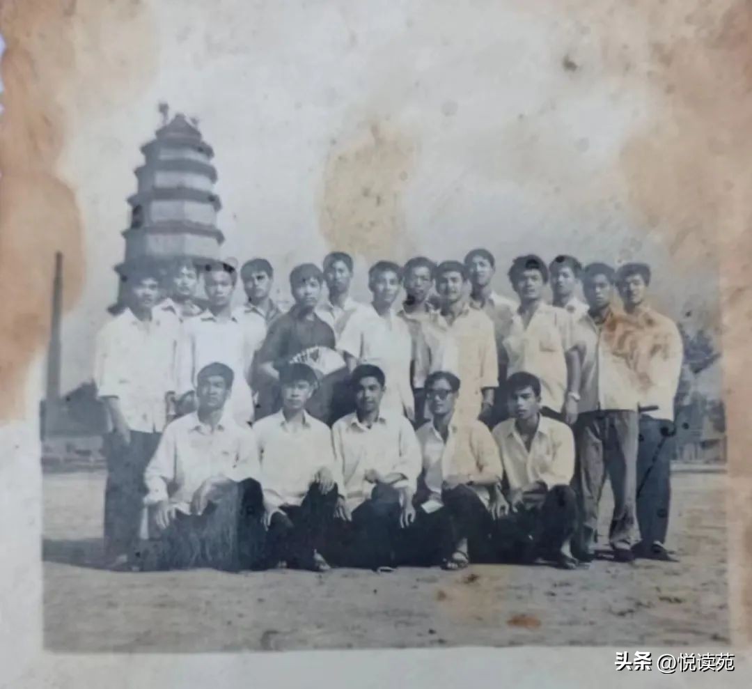 张富群河南,张富群简介