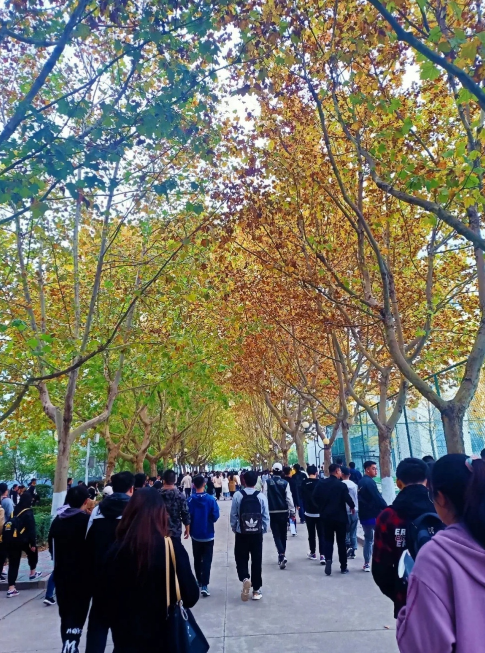 南京理工大学专接本紫金校区怎么样？