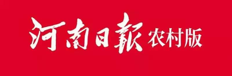 河南民权：“小车间”搭下致富桥