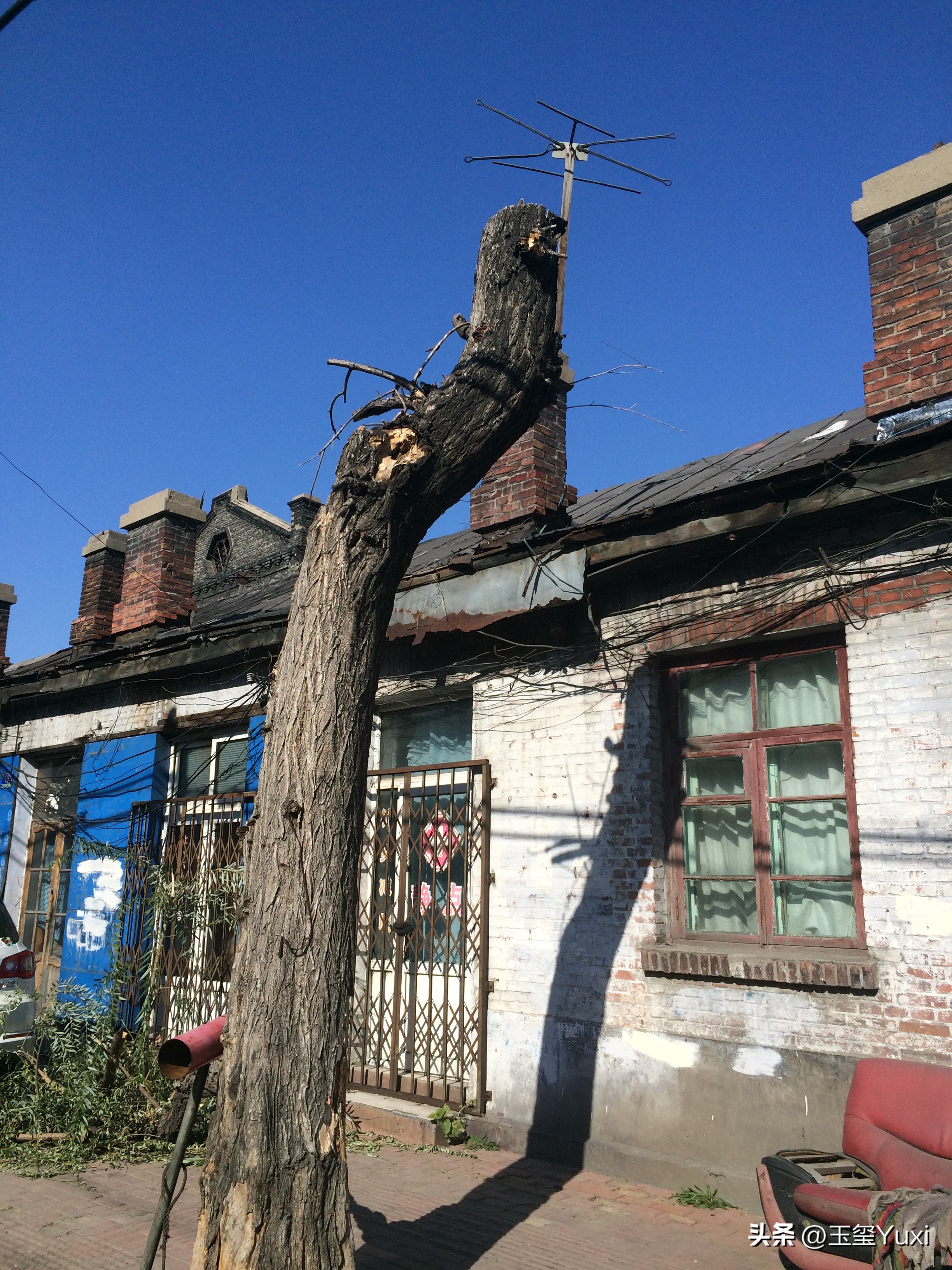 哈尔滨真实故事改编,哈尔滨往事是虚构的吗