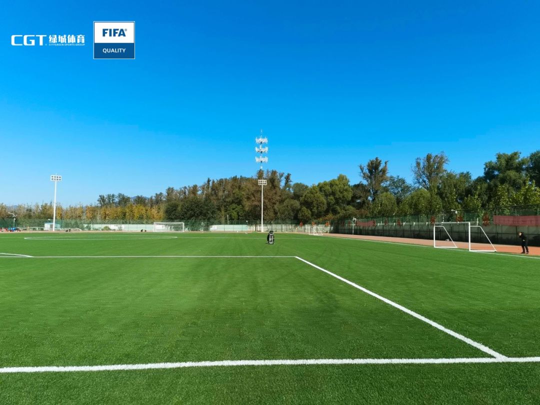 fifa认证足球场是真草吗,fifa认证足球