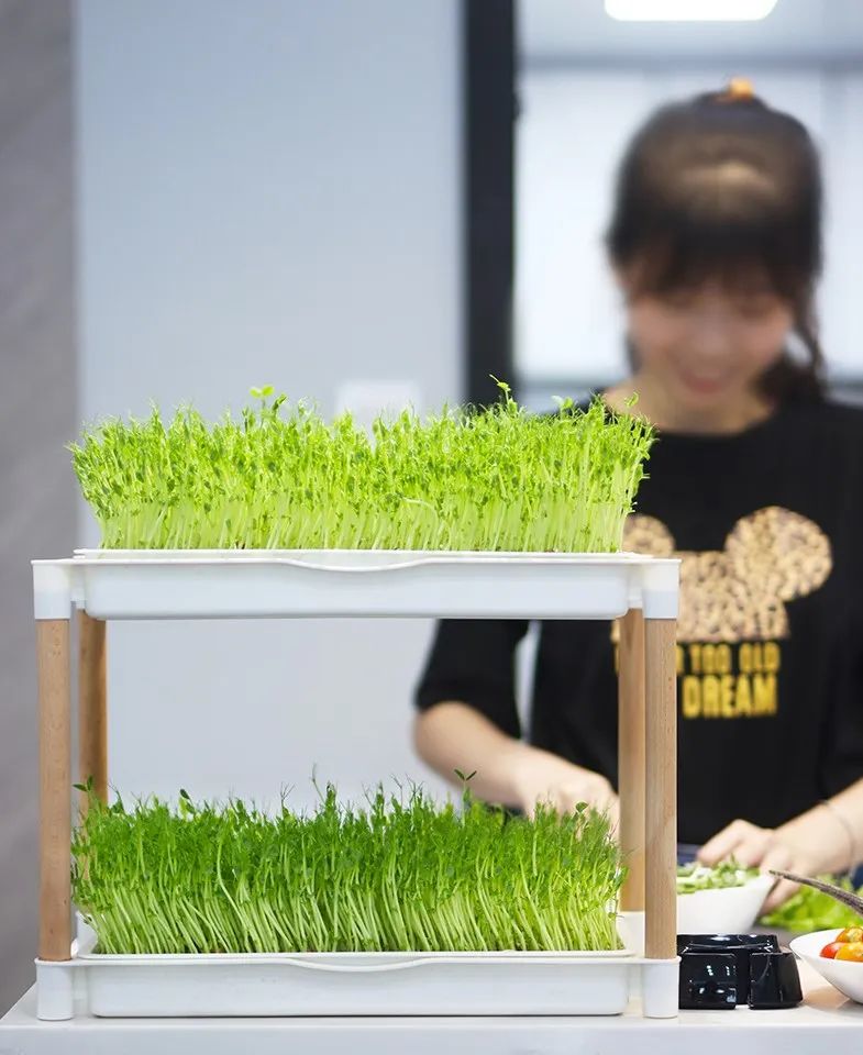 疫情过后买冰柜,疫情囤货买多大冰柜