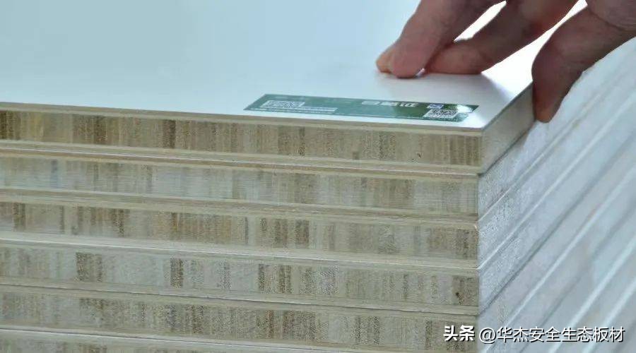 共谋发展交流讨论,共谋发展与合作交流