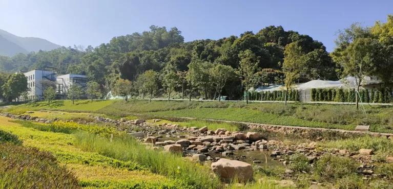 罗湖又有宝藏打卡点！超过35公里碧道即将建成