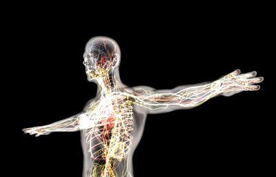 桥本甲状腺炎中医解释,中医对桥本氏甲状腺炎的认识