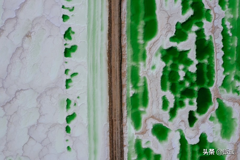 青海｜热爱西风和烈酒，也爱孤独和自由