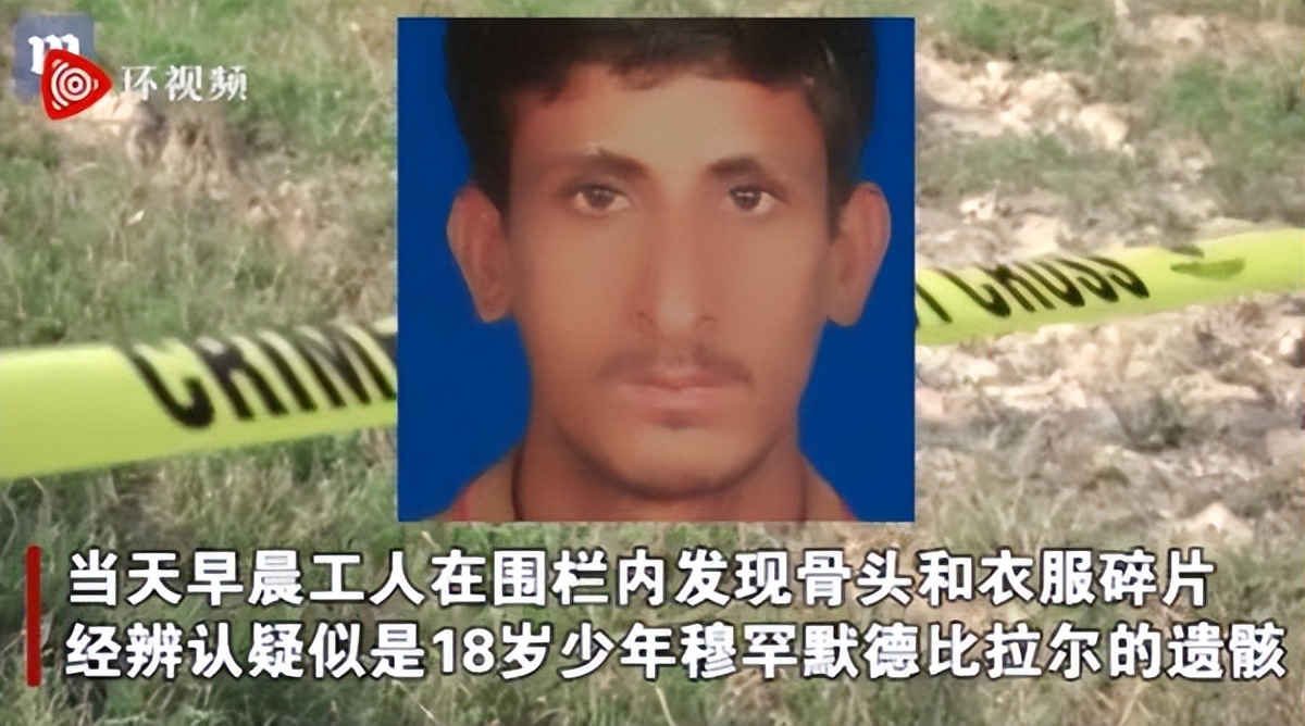 两个外国人吃狮子,两个外国人挑战被各种生物咬