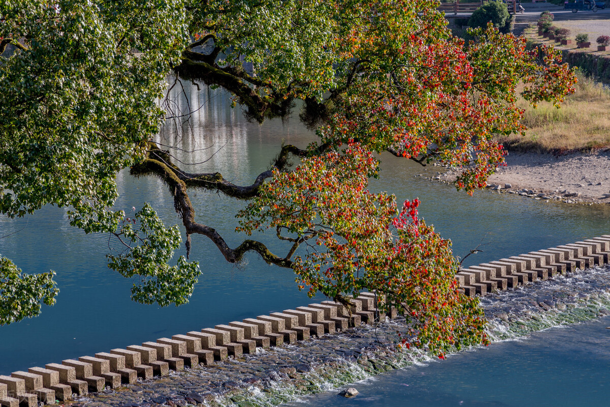 不留遗憾！很适合女性自驾的12个目的地，没去过的争取每年去2个
