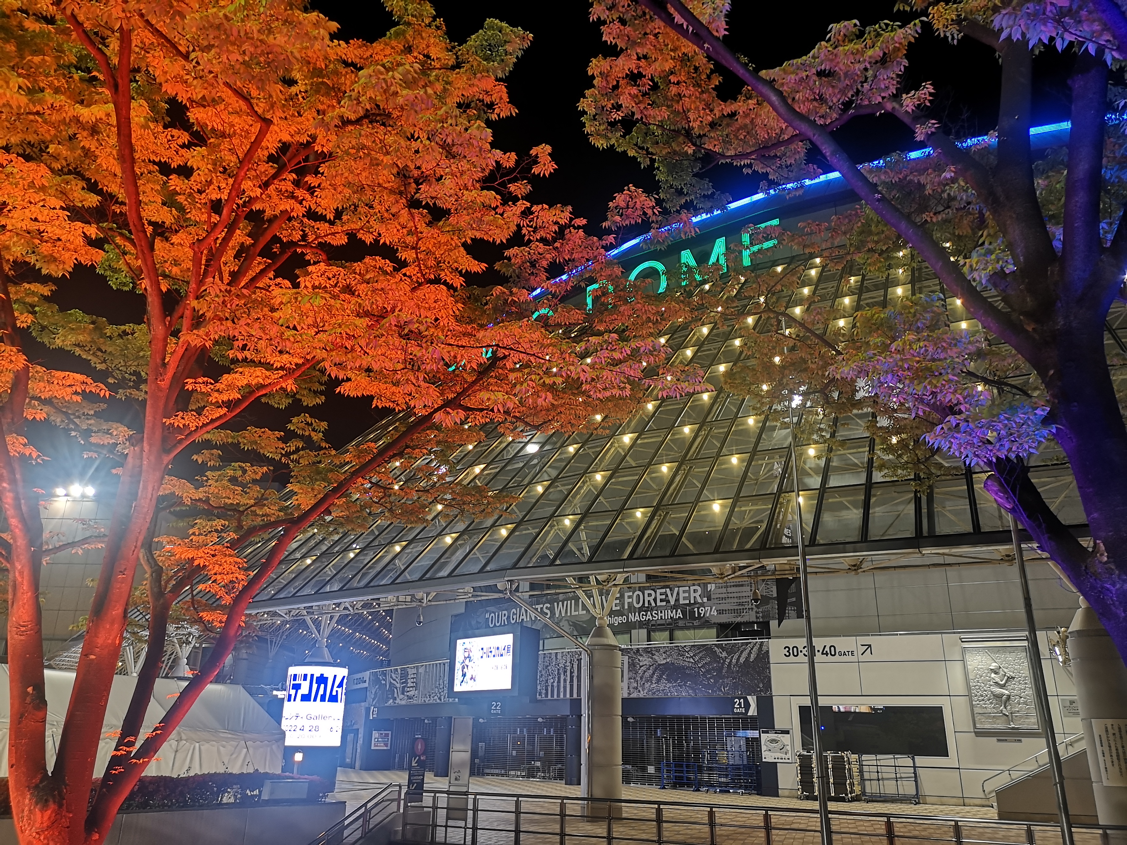 在东京兼职的码农CTO