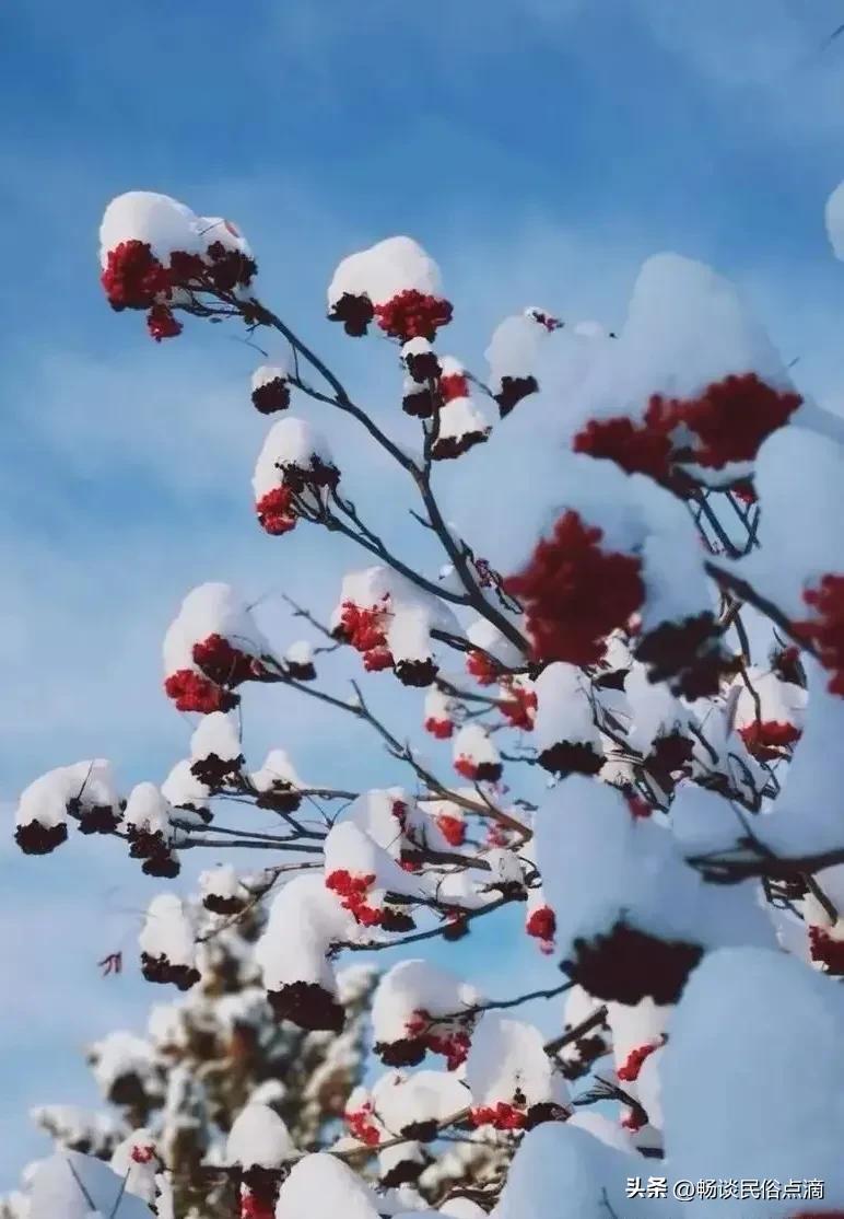 鍐滃巻鍗佹湀鍗佸叚鍐滄潙鏈夊彞璋氳,鍗佹湀鍗佸叚璋氳