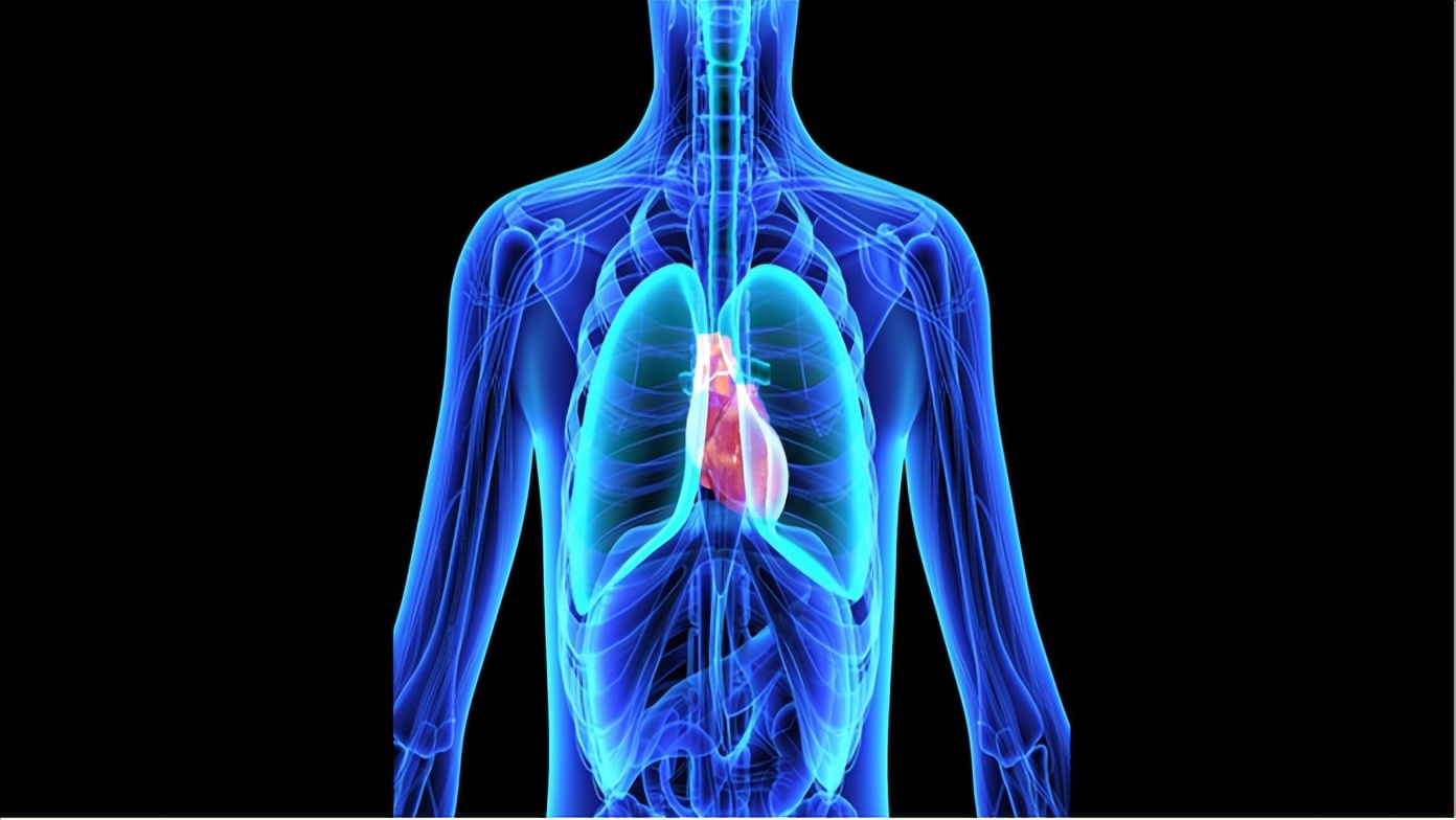 心脏病到底能不能吃伟哥,吃伟哥能造成心脏病吗