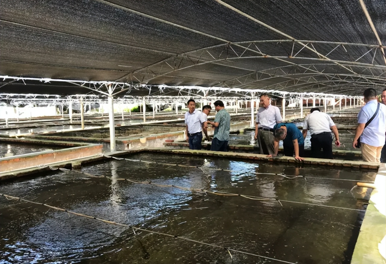 天啊！广东男子花13万进口美国海水，一年后靠这海水赚了盆满钵满