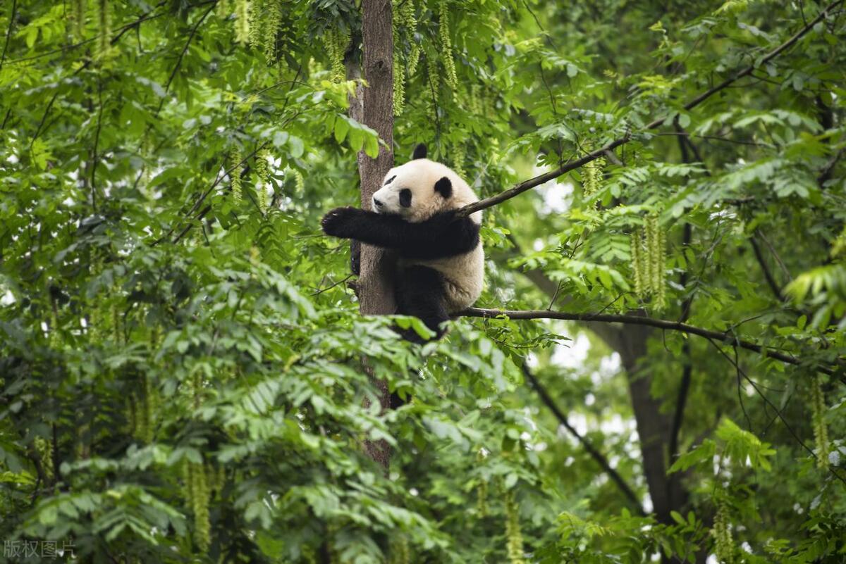 中国最值得旅游的8座城市,中国最值得去的100个城市