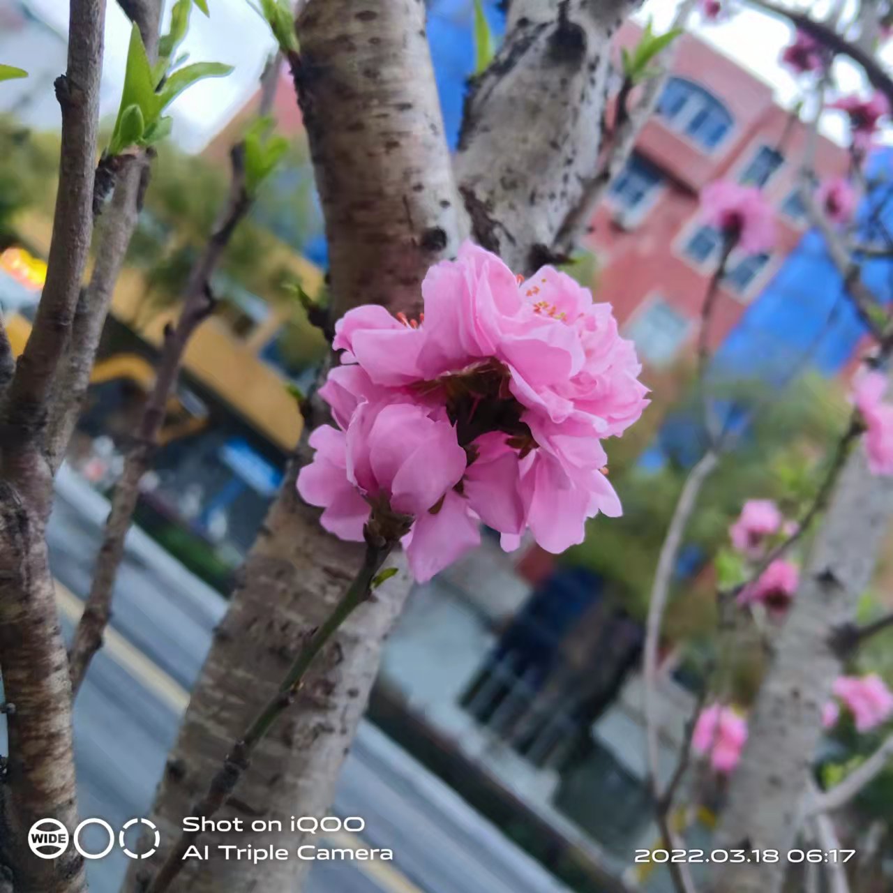 萧山风景拍照打卡地,萧山网红打卡景点春季