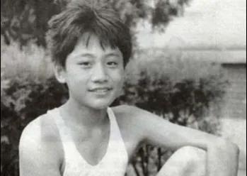 刘烨结婚时候的谢娜,刘烨谢娜幸福树