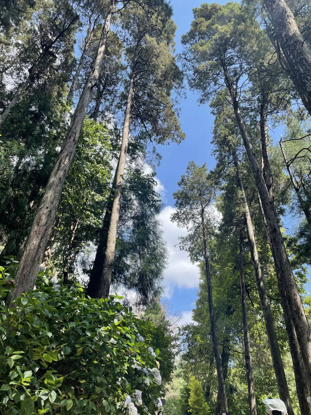 云南大理山,云南一日游日记
