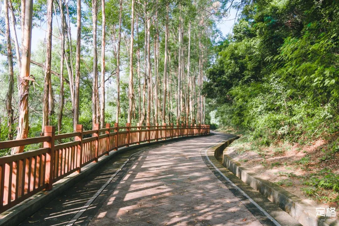 深圳最值得去的十个地方,深圳吃货必去的地方