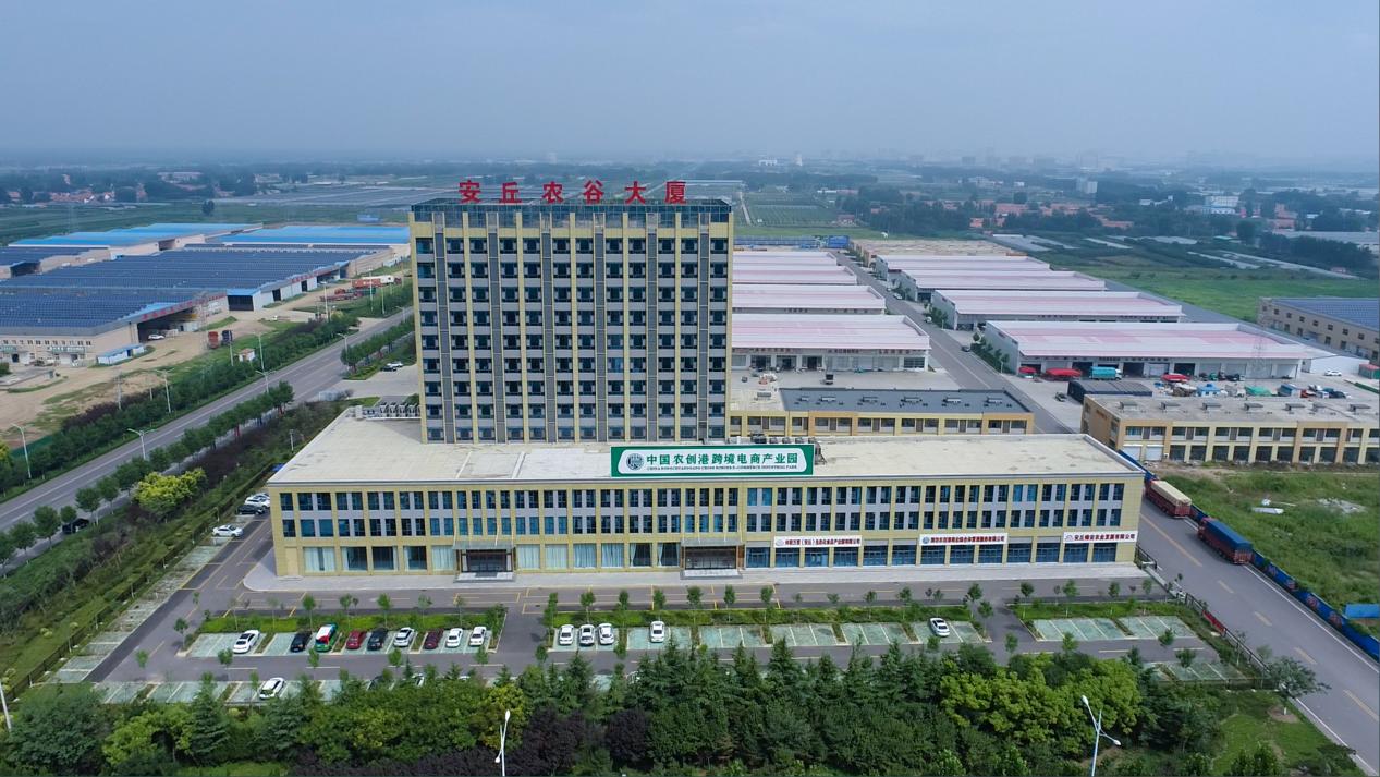 “潍品出海”行更远——潍坊市贸促会跨境电商服务助力企业融入世界商圈