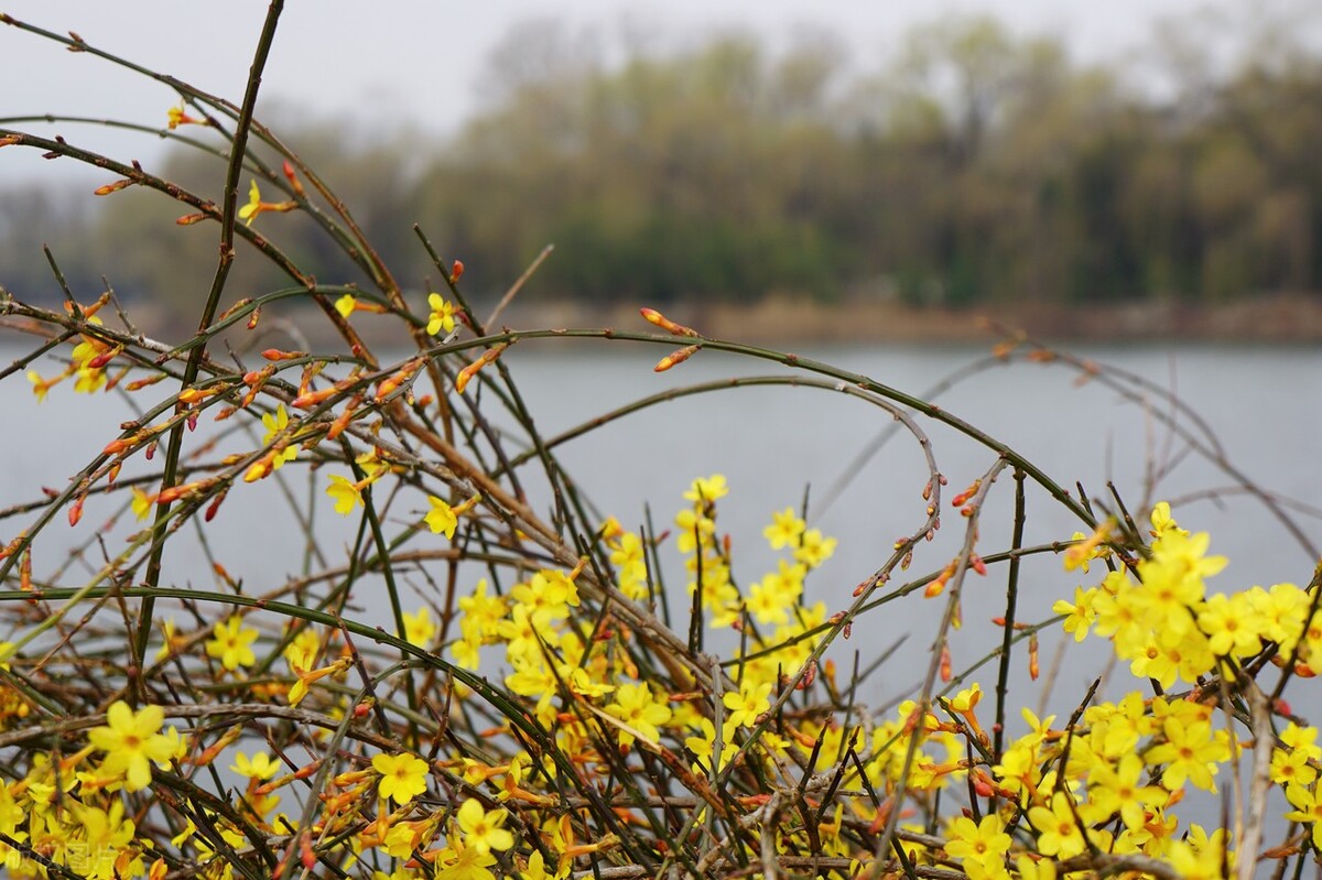 2020年防灾减灾天气预报视频,世界气象日宣传知识