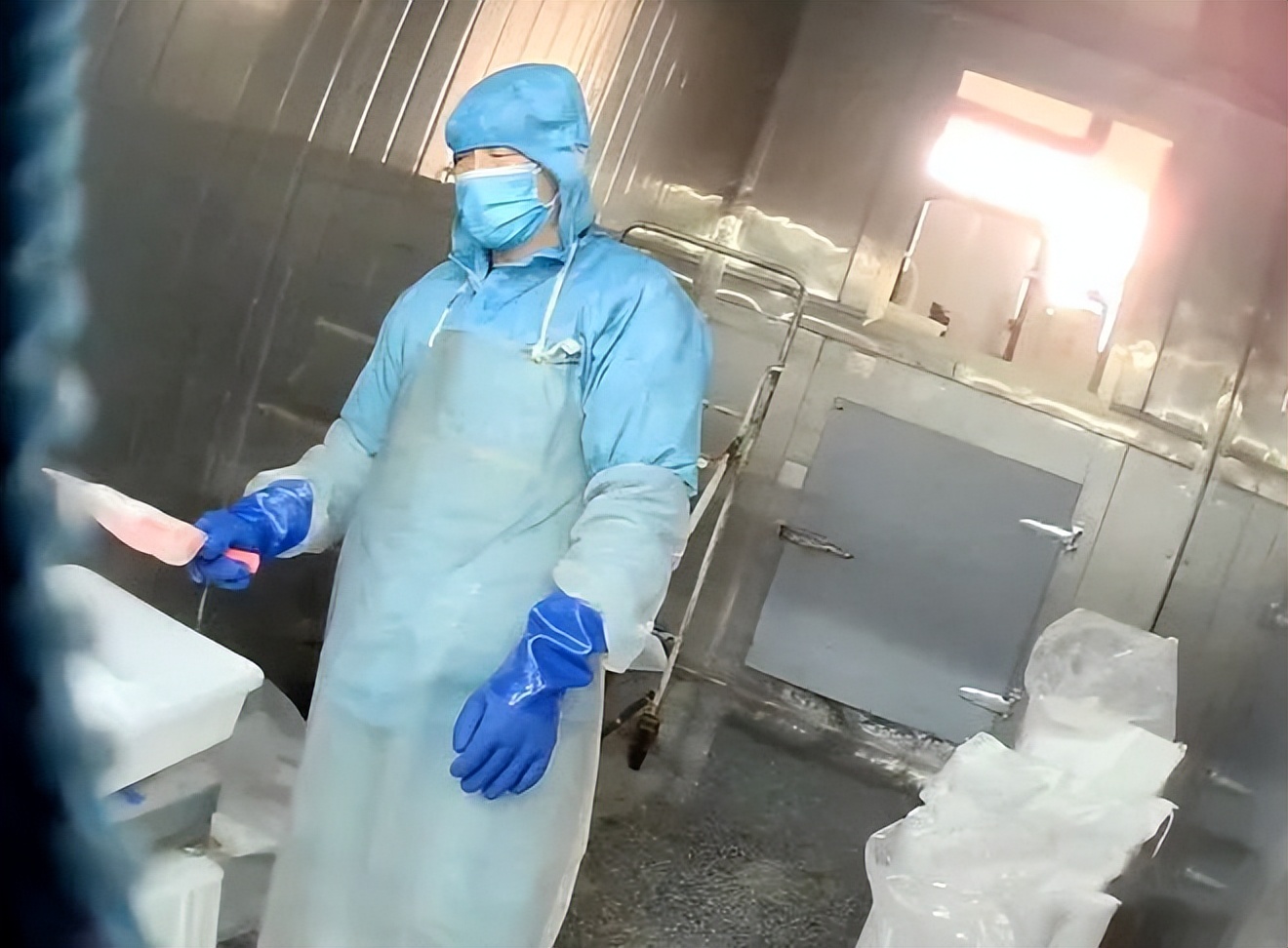 韭菜皮皮虾,皮皮虾及梭子蟹骗局