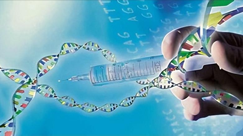 女性也有功能障碍吗,女人有难言的苦说也说不尽