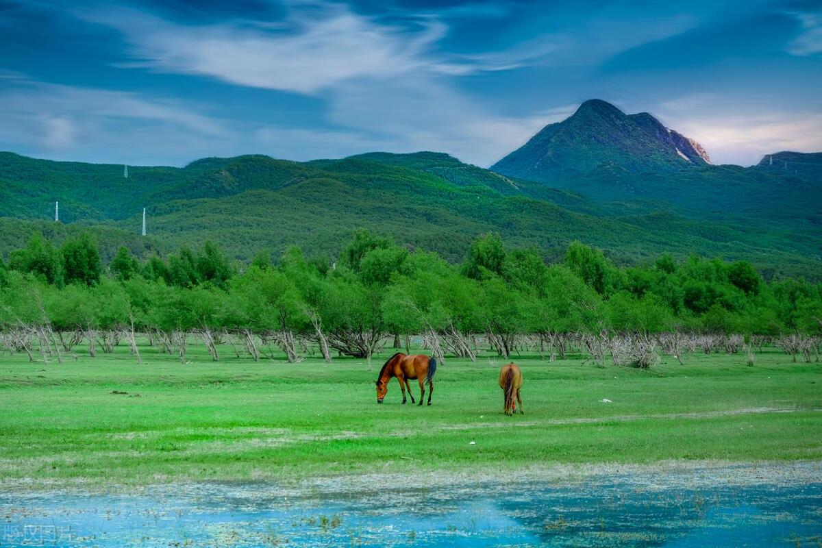 丽江旅游必去的地方景点排名前十,丽江旅游攻略必去景点最新