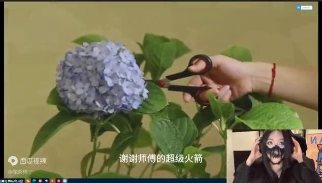 团团生日收粉丝礼物,团团生日送礼