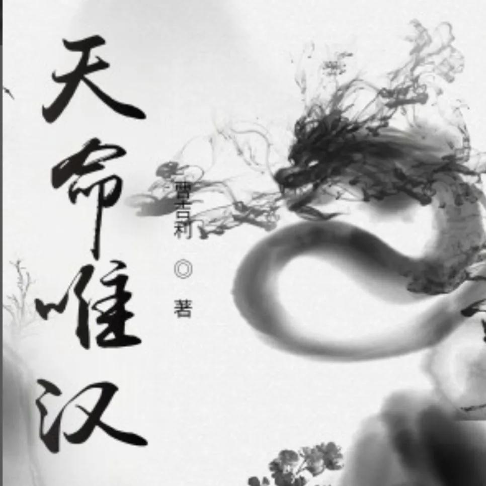 5本高质量三国历史穿越文推荐,推荐26本历史架空文